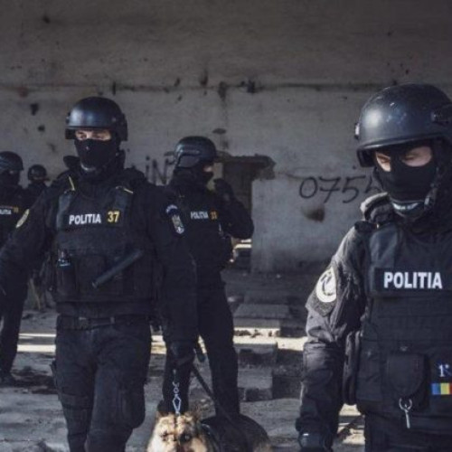 descinderi ale poliției în Maramureș pentru tăieri ilegale de lemne