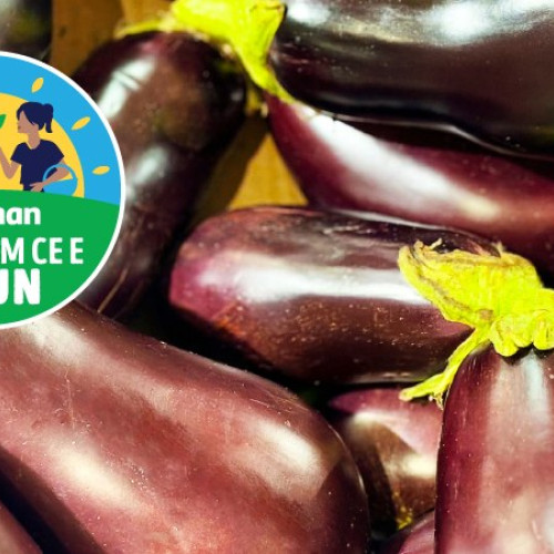 Produse românești de sezon, proaspete și de calitate în magazinele Auchan