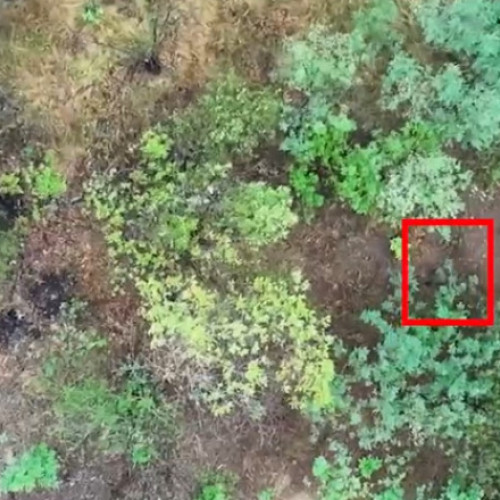 imagini rare cu femei ruse pe frontul ucrainean, evidențiate de brigada &quot;Spartan&quot;