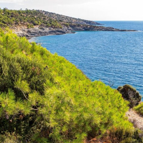 Un arădean s-a înecat în Thassos în timpul vacanței