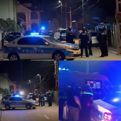 incident violent la Târgu Jiu: femeie de 25 de ani implicată în distrugeri și amenințări