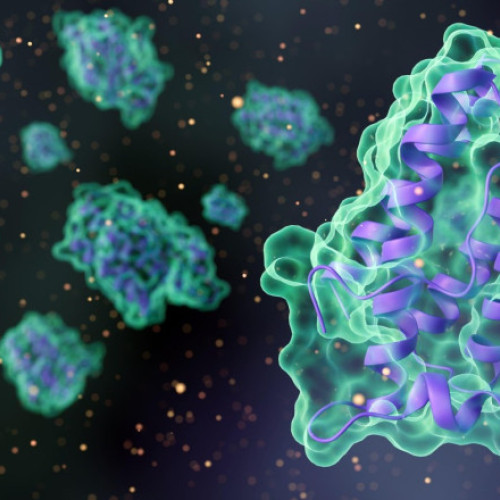 descoperire revoluționară în tratarea diabetului de tip 1: un hormon poate normaliza glicemia fără insulină