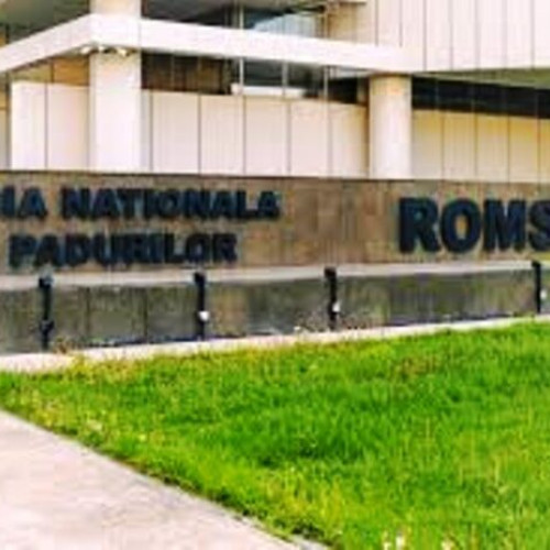 Ministerul Mediului a transmis oficial către Parchet raportul realizat de Corpul de Control despre activitatea Regiei Naționale a Pădurilor - Romsilva, anunță jurnaldevrancea.ro. Ministrul Diana Buzoianu a explicat public motivele acestei decizii, prezentând date alarmante despre modul în care au fost gestionate resursele financiare ale instituției.