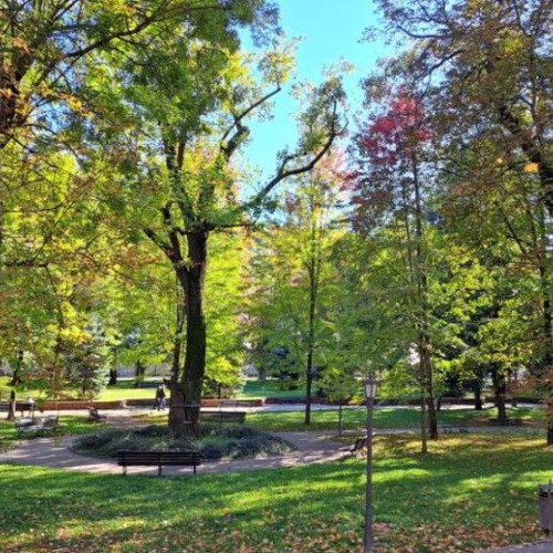 proiecte de infrastructură în municipiul timișoara