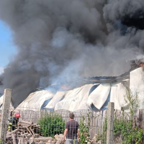 incident major la răpța: un incendiu a distrus mai multe autoturisme