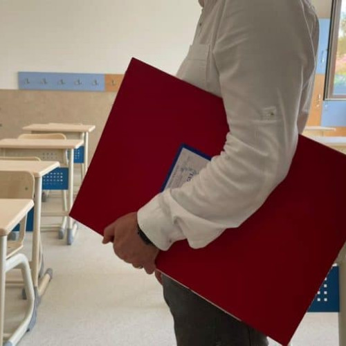 Examen pentru obținerea gradului didactic II la Alba Iulia, cu participare din mai multe județe