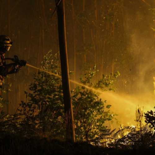 Portugalia intrată în stare de alertă din cauza incendiilor de vegetație
