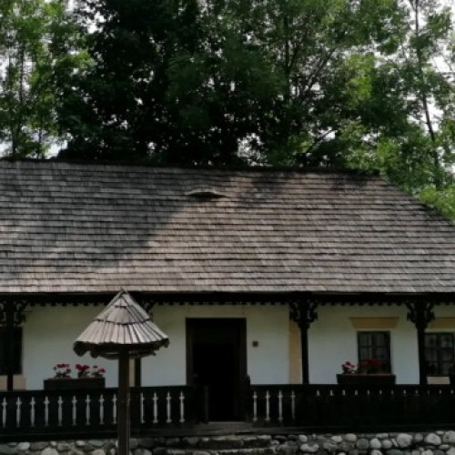 Probleme legate de monumentele din Parcul etnografic Bran