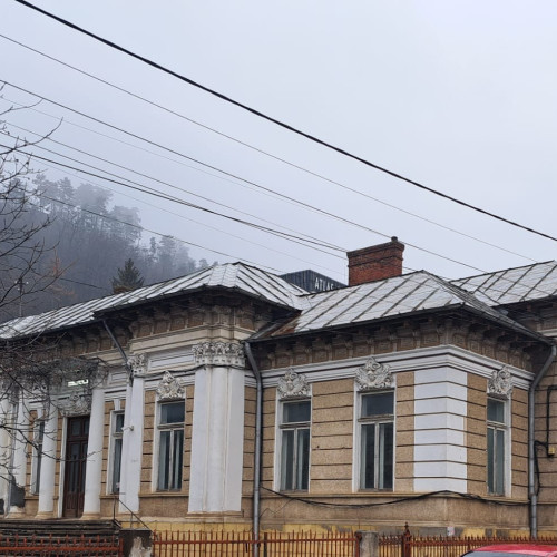 Primarul orașului Piatra Neamț, Adrian Niță, a spus recent că achiziția „Casei Armatei” a provocat nemulțumiri în anumite cercuri, care au reacționat cu rugăminți și insistențe. El menționează că aceste reacții au venit pentru că s-a dorit ca imobilul din centru să fie cumpărat de primărie, iar suma oferită a fost considerată accesibilă de mulți.