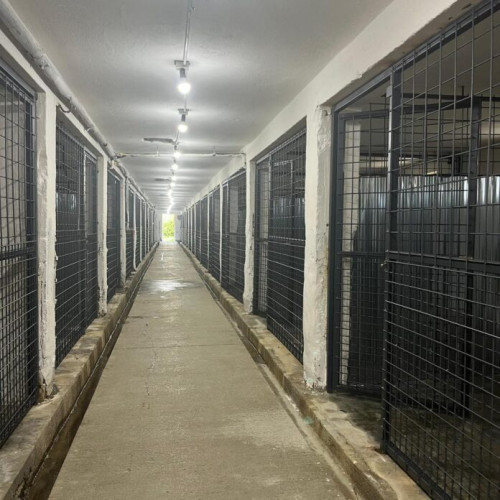 Padocul 3 interior de la adăpostul din Bragadiru a fost finalizat, anunță ASPA