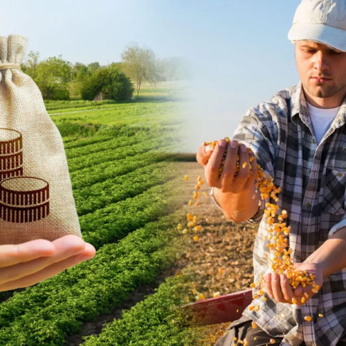 Sprijin pentru micii fermieri, în planul Uniunii Europene pentru 2028-2034