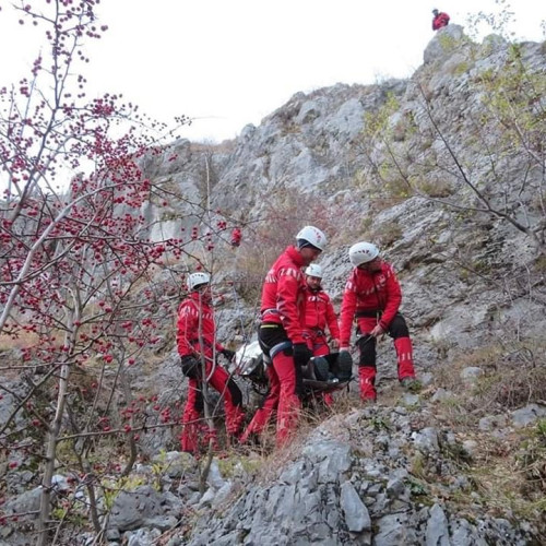 Incident grav într-o zonă montană din Baia de Fier: un conflict între doi ciobani s-a încheiat cu o înjunghiere și un dosar de tentativă de omor