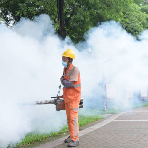 Creștere alarmantă a cazurilor de virus transmis de țânțari în provincia Guangdong, China