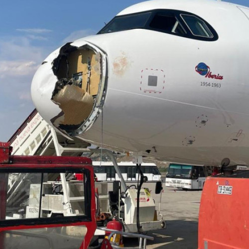 Avion Iberia în involving incident cu vulturul, după decolare din Madrid spre Paris