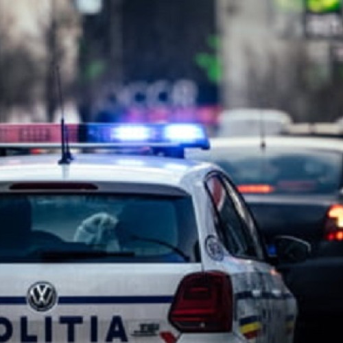perchezitie la suceava pentru infracțiuni legate de arme, deconspirată de poliție