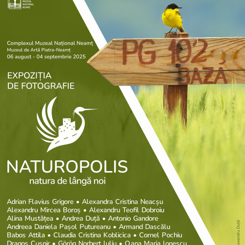 expozitia „natura de langa noi” la muzeul de arta din piatra-neamț
