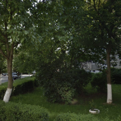 spațiu verde de pe strada dâmboviței, transformat într-un loc de distracție neautorizată