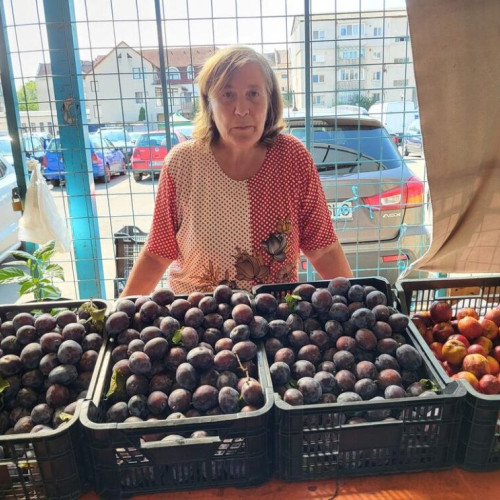 Recolta de fructe din livada din Ardeal, afectată grav de condițiile meteo