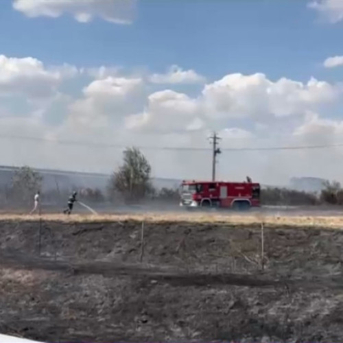 incendiu de vegetație pe autostrada A2 în județul Constanța