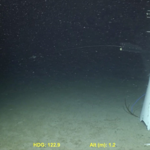 implozia submersibilului titan, cauzata de proiectare inadecvata, putea fi prevenita, anunta autoritatile americane