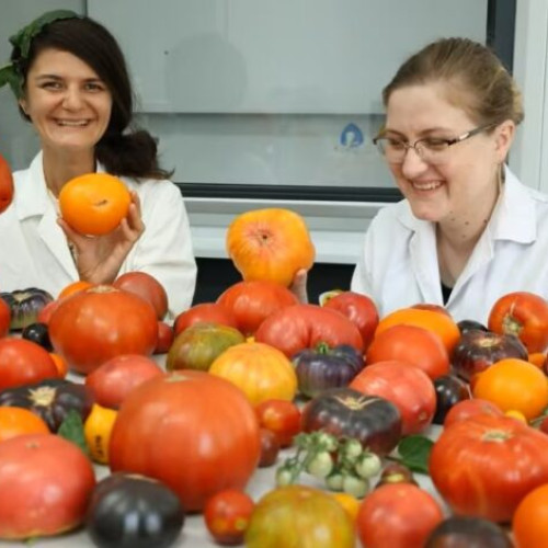 initiativă a statiunii de cercetare pentru legumicultură din buzau poate fi profitabilă pentru fermieri