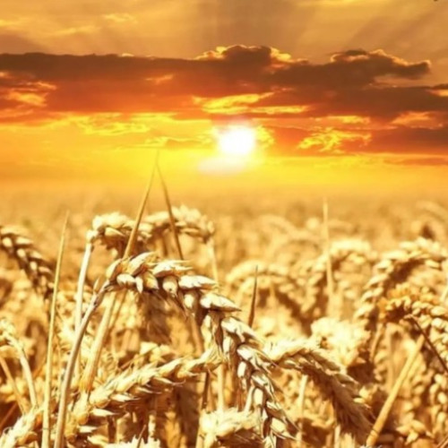 Prognoza meteo pentru luna august în România