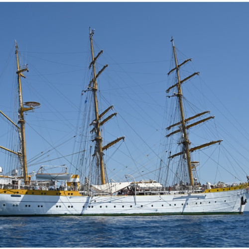 Nava-scoala „Mircea”, din armata română, nu va mai fi prezentă la evenimentul planificat la întoarcerea din marșul internațional de instruire, din cauza deciziei Guvernului de a institui zi de doliu. Potrivit, citeaza ziarulamprenta.ro, toate activitățile festive sau comemorative au fost suspendate, inclusiv participarea reprezentanților mass-media.