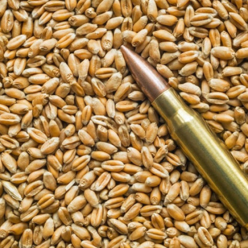 regiunea luhansk intenționează să dubleze recolta de grâu în acest an