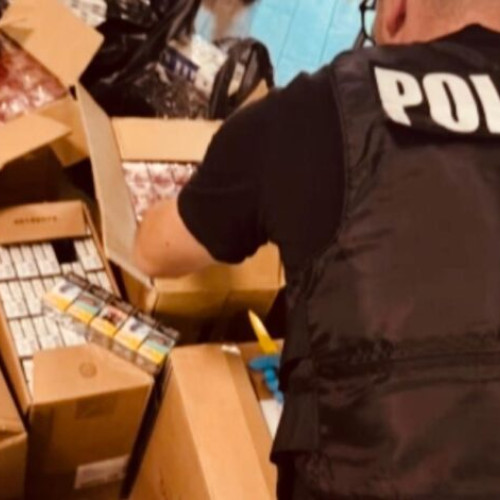 Descoperire a unei rețele de contrabandiști de țigări în Prahova și Argeș