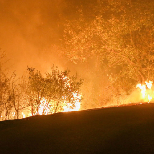Cel mai mare incendiu de pădure din Franța în 2025, peste 1.800 de pompieri în luptă cu focul