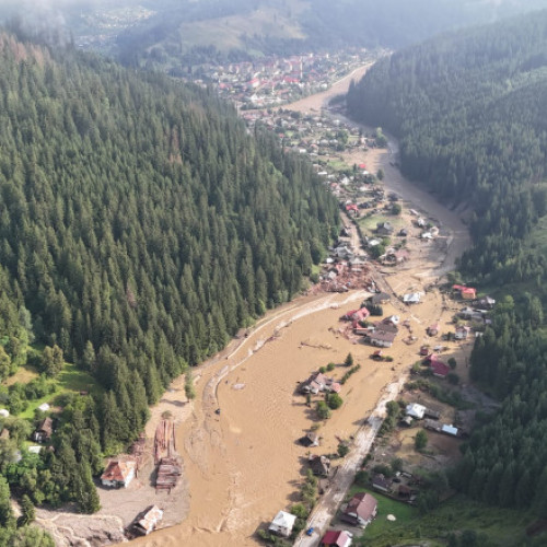 Eforturi pentru protejarea animalelor în zonele afectate de inundații în Suceava și Neamț