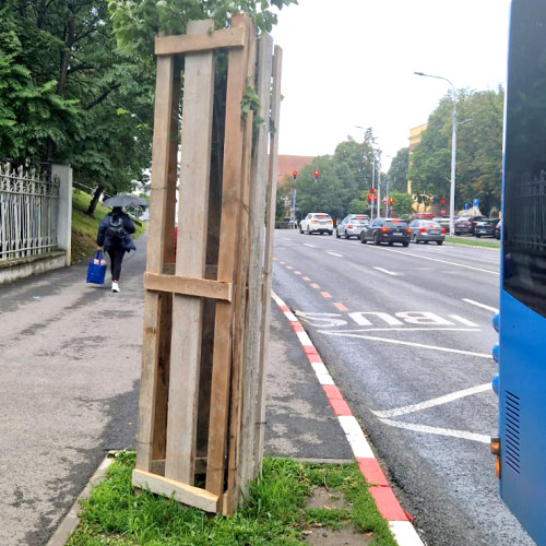 Sibienii observă cu reticență noile protecții montate pe copaci în zona bulevardului Corneliu Coposu