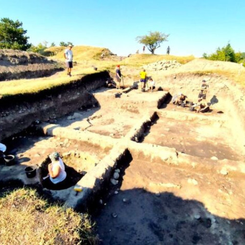 eveniment la muzeul judetean buzău: ziua porților deschise la situl arheologic de la pietroasa mica-gruiu darii