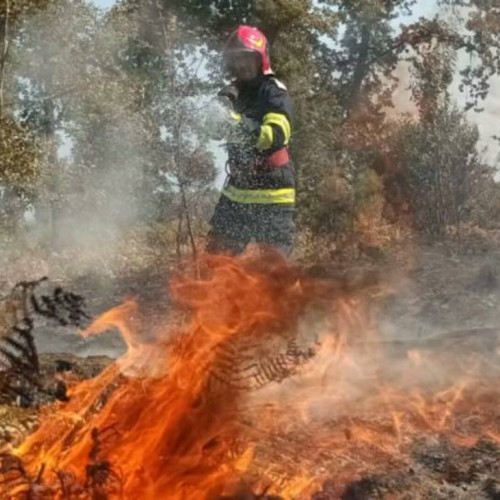 Cel mai mare incendiu de pădure din ultimii zeci de ani în Franța, în curs de stingere