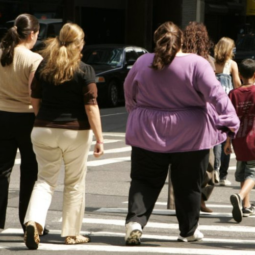 studiu nou arată că alimentația, nu lipsa exercițiului fizic, cauzează obezitatea