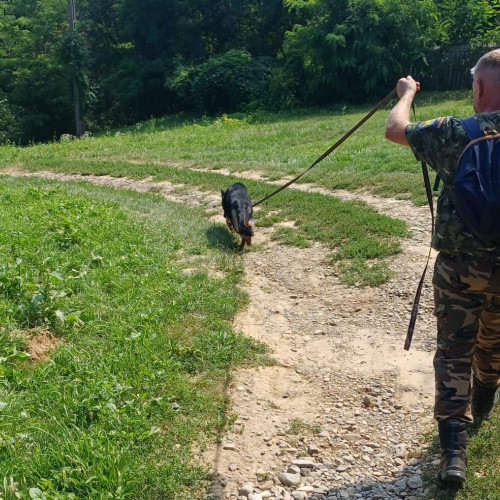 bătrân din județul botoșani, găsit la șapte kilometri de casă după dispariție