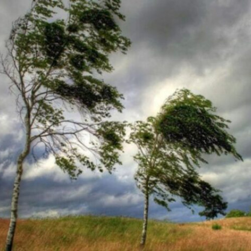 Judetul Buzau, sub cod galben de vant până seara la ora 20:00