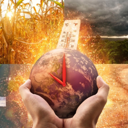 criza climatică în galați: efecte alarmante și măsuri de adaptare