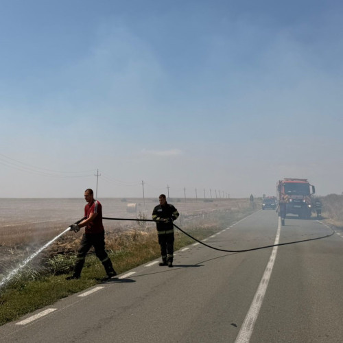 Incendiu de amploare în lanurile de la Ciocarlia
