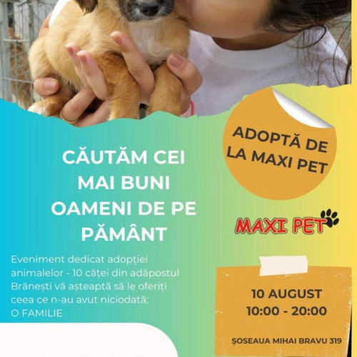 targ de adopții pentru animale la ilfov