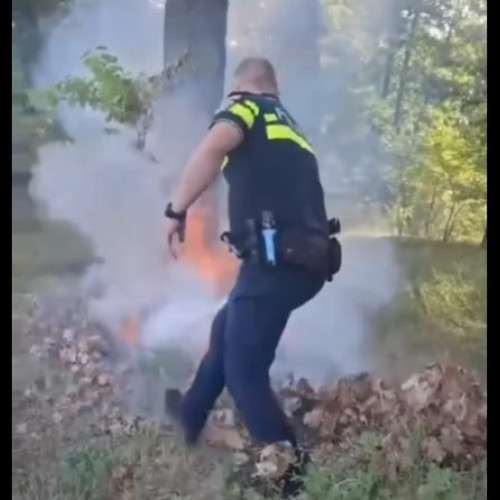 politist salvează pădurea de un incendiu accidental în județul mureș