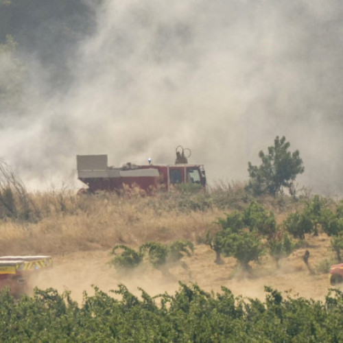 Incendiul devastator de vegetație din sudul Franței, cel mai grav din ultimii 80 de ani, evoluează cu dificultate, au anunțat autoritățile. Deși răspândirea focului s-a încetinit joi, incendiul nu este încă sub control, iar echipele de intervenție continuă lupta pentru a stopa extinderea acestuia.
