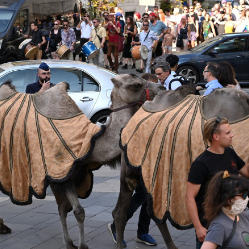 Caravana cu camile protestează împotriva secetei în Budapesta