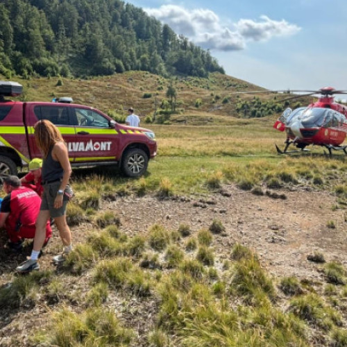 copil salvat după ce a fost mușcat de o viperă în Maramureș