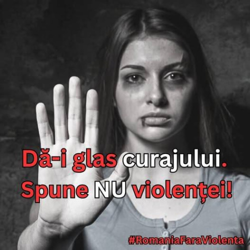 românia implementează măsuri pentru combaterea violenței domestice