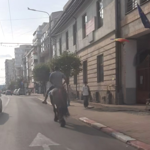 Moment neașteptat în centrul orașului Târgu Jiu