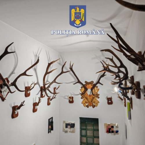 Trei persoane reținute după percheziții la Borsa pentru deținere ilegală de arme și materiale de vânătoare