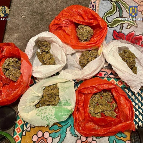 Trei bărbați și o femeie, cu vârste cuprinse între 19 și 29 de ani, sunt cercetați pentru trafic de droguri de risc de către polițiștii Brigăii de Combatere a Criminalității Organizate Bacau, împreună cu procurorii din cadrul Direcției de Investigare a Infracțiunilor de Criminalitate Organizată și Terorism - Serviciul Teritorial Bacau. Potrivit sursei jurnaldevrancea.ro, persoanele de 19 și 29 de ani au fost suspectate și pentru deținere de droguri de risc pentru consum propriu, fără drept.