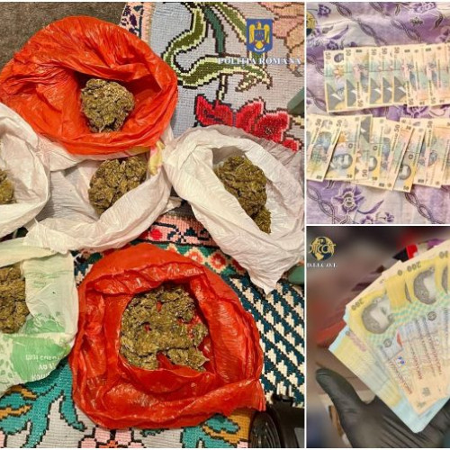 trafic de droguri de risc destructurat la Bacau