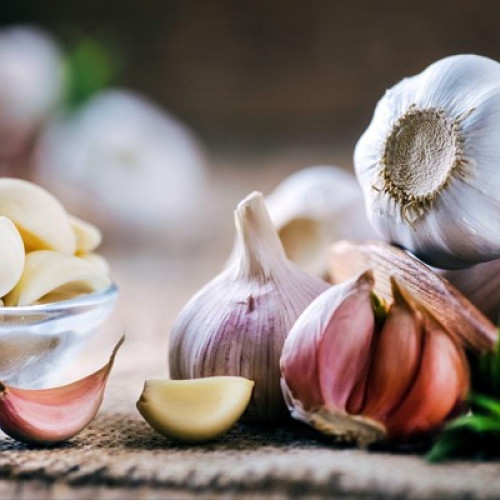 Sezonul recoltatului de usturoi și ceapă, momentul de valorificare a producției